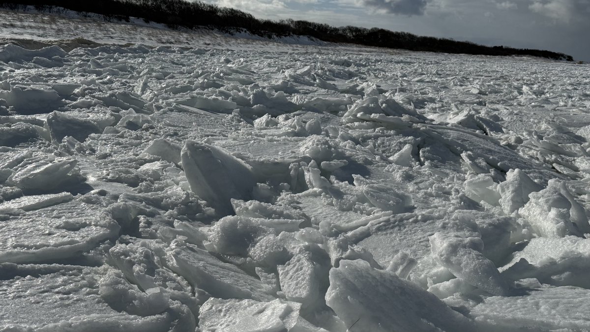 mmuhlfelder's tweet image. #capecodbay imitating another planet. Underneath it all is a #calmocean