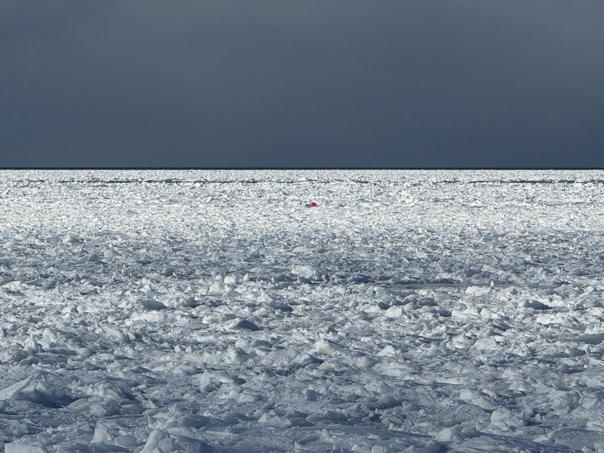 mmuhlfelder's tweet image. #capecodbay imitating another planet. Underneath it all is a #calmocean