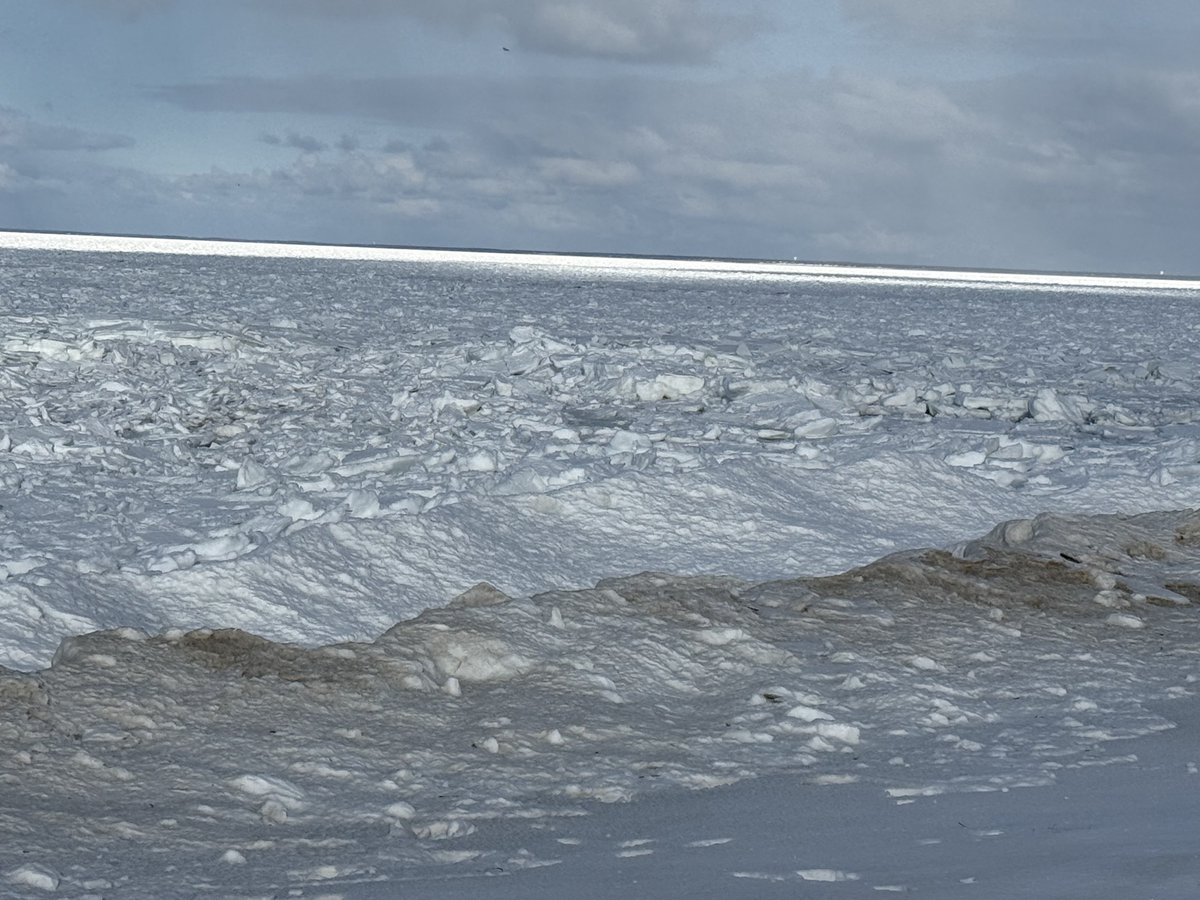 mmuhlfelder's tweet image. #capecodbay imitating another planet. Underneath it all is a #calmocean