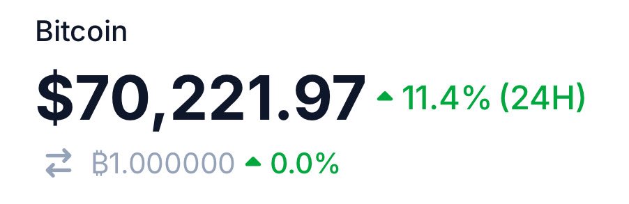 Dinoshi 🦖 tweet media