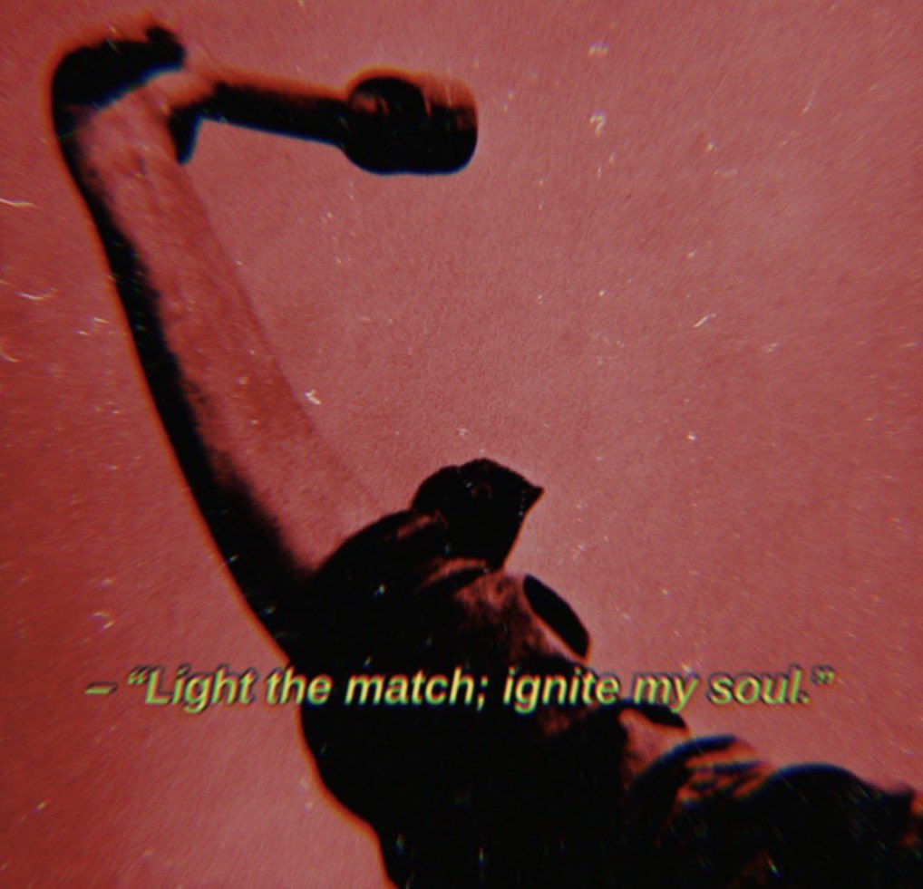 Testosterone Aesthetics (@maxyourtest) on Twitter photo 