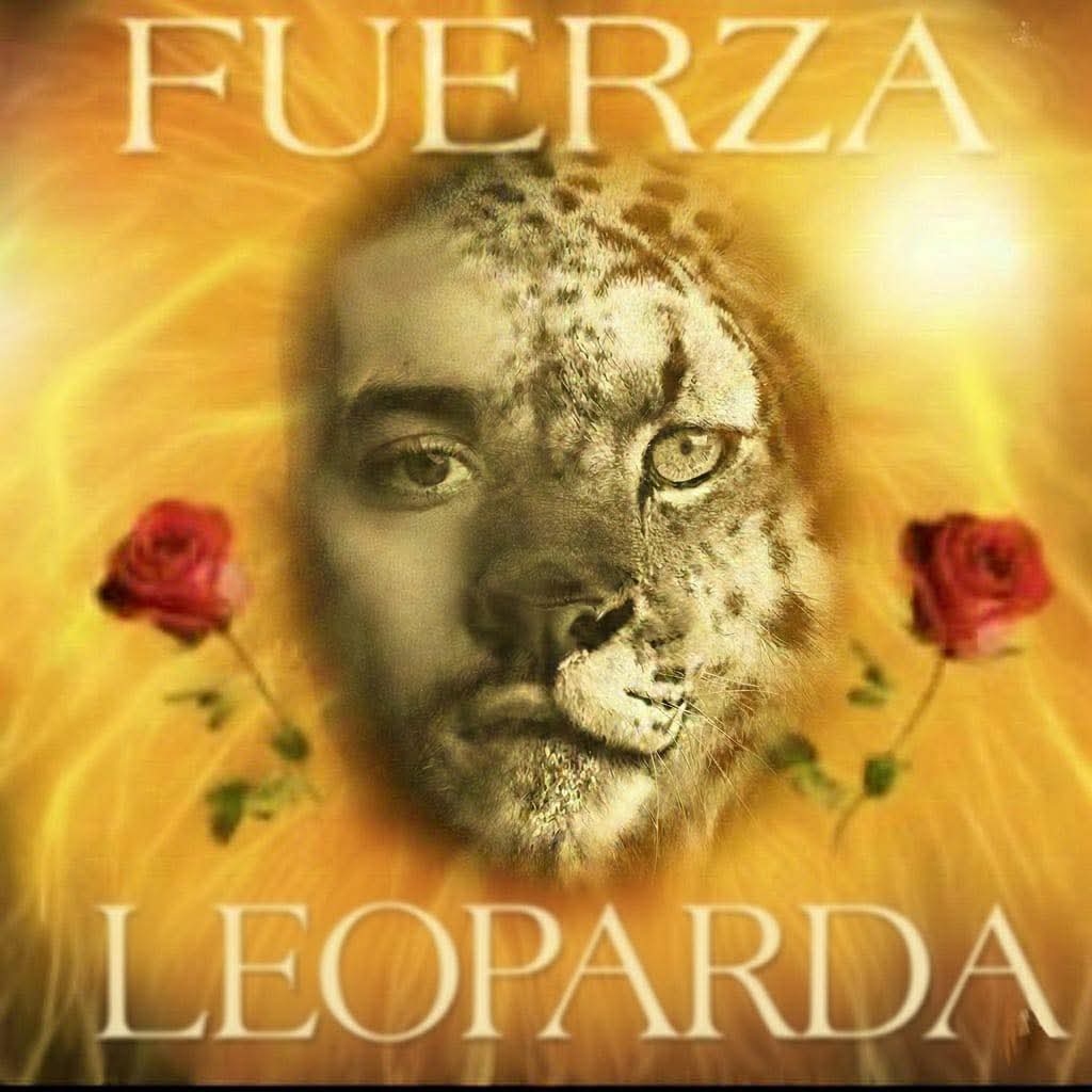 zaynparaguay_'s tweet photo. Sigan dando stream a Die For Me, compren en iTunes. Vamos leopardos y leopardas🐆
#DieForMeZayn https://t.co/BxhSj7AniK