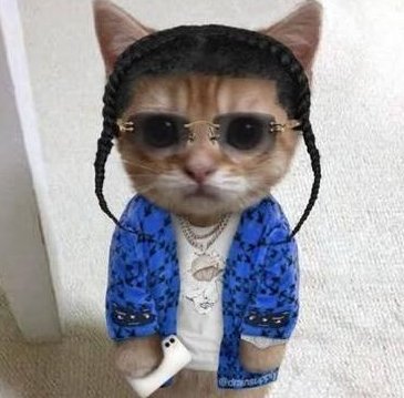 danossd's tweet image. 動物はつまらないです 🤓