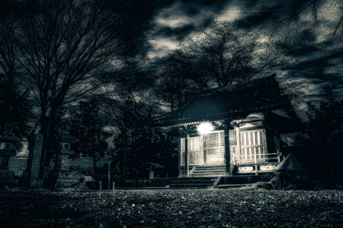 MEGACOLORPUNCH's tweet photo. R0024566-2-2-23-9 #寺 #白黒写真 #写真 #スナップ写真 #candid #モノクロ写真 #monochrome #Travel #portrait #사진 #旅行 #夜 #fotografía #モノクローム #night #รูปถ่าย #キリトリセカイ #Photography #GRD3 
2011年12月
日本の神社夜景写真
照明と木々のシルエット
お墓、幽霊とは異なる畏怖 https://t.co/VoPQ7uFseB