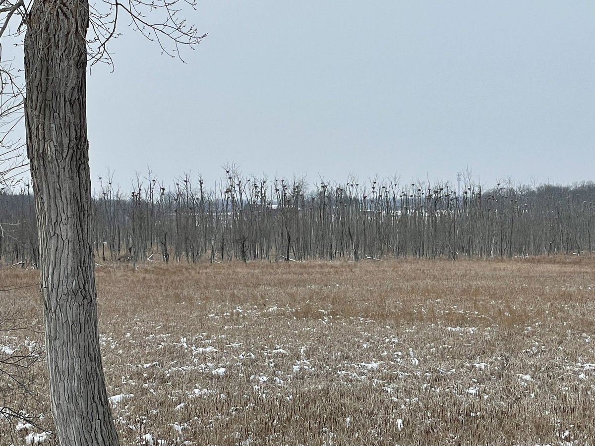 In the fall Iroquois NWR became part of the same Fish &amp; Wildlife Service complex as Montezuma NWR. The two are now under the same manager. To better get to know our new associates, I traveled with Iroquois staff today to Montezuma for its annual volunteer appreciation lunch.