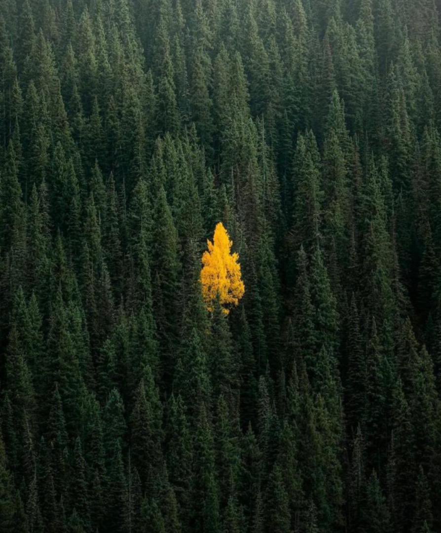 Qester's tweet image. A proper glance at what hope really looks like. 

If it’s there, it’s enough. Hold Strong 💪