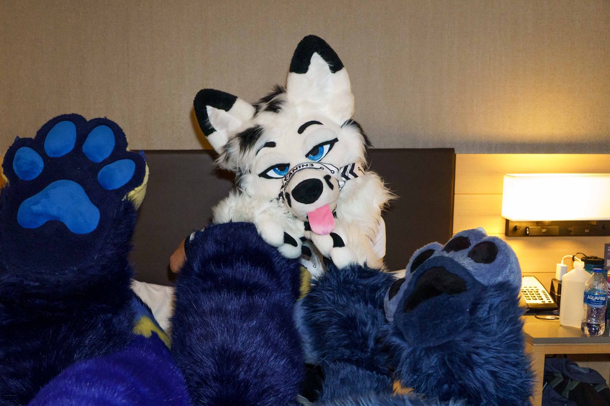 King of the paws
ft. <a href="/Pringle_Fen/">Pringle AD</a> 
*not sure if Moss wants to be tagged on AD