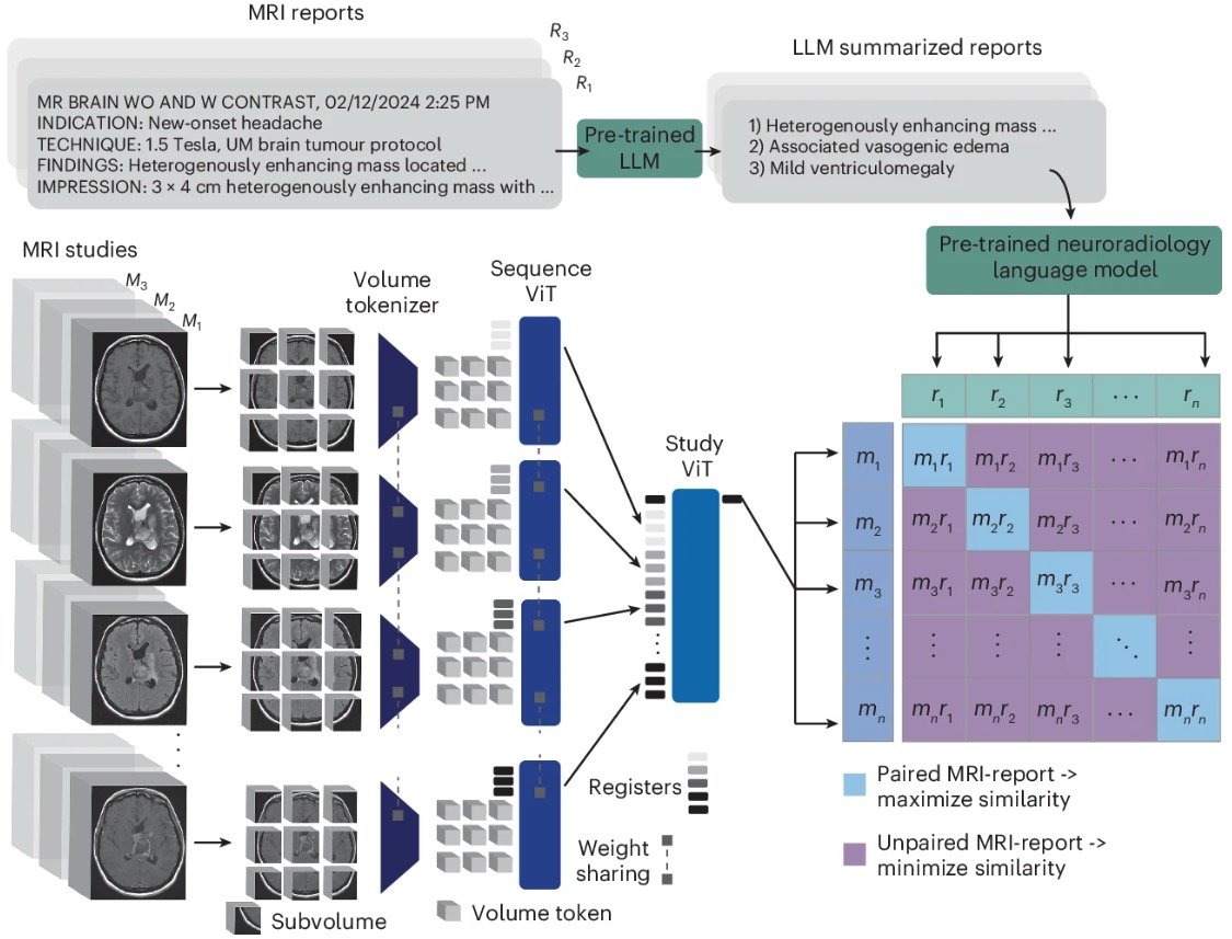 ToddCHollon's tweet image. We present Prima, the first medical foundation model for neuroimaging that supports full real-world, clinical MRI studies: the whole MRI in &amp;gt;&amp;gt;&amp;gt; diagnosis out! 
Thanks to @umichmedicine, @umichneuro, and our @mlins_lab.  
 
nature.com/articles/s4155…