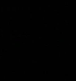 Acromy's tweet image. 午後が好き 🐈‍