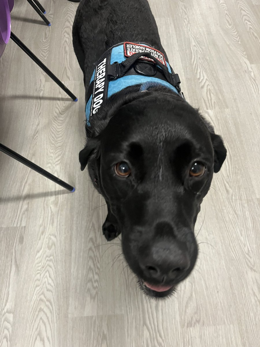 Orrell Ward @ WWL tweet media