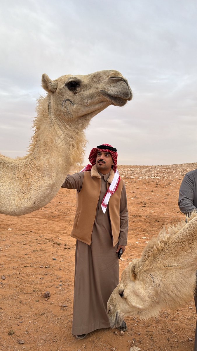 د.عبدالله البكر tweet media