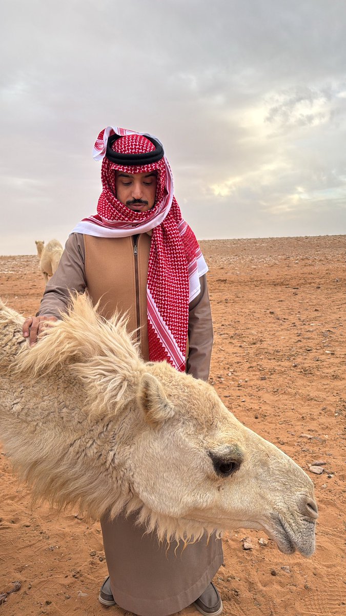 د.عبدالله البكر tweet media