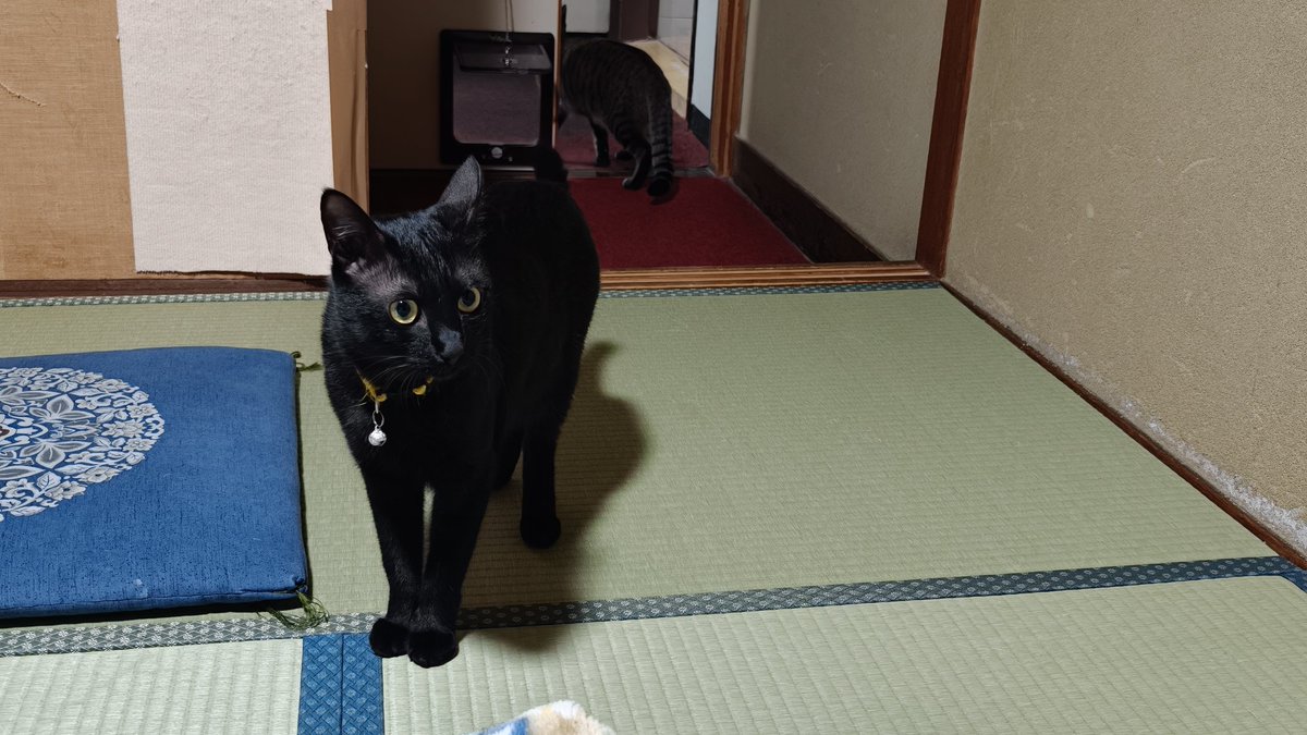 wetanddry0000sm's tweet image. 朝風呂の後で続々と仲居さん達が部屋にやってきた