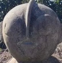 ItsZippe's tweet image. 犬で来る 🐹