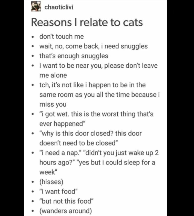 No Nonsense Neurodivergent tweet media