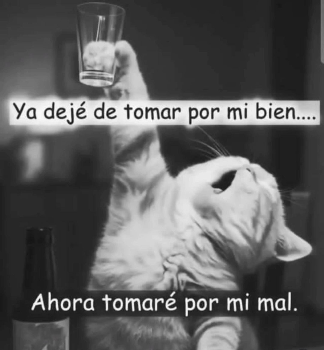 Gina (@ginaojeda26) on Twitter photo 