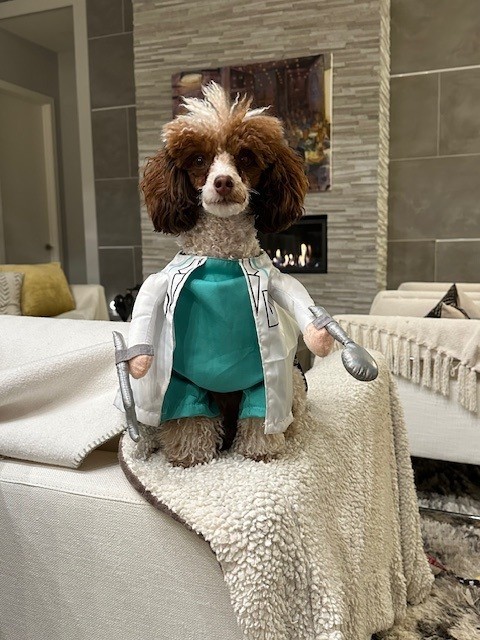 We are thrilled to welcome Dr. Melonie MacDonald to our Faculty!
With 30+ years of experience, Dr. MacDonald is an expert in digital and esthetic dentistry. When she's not in the office, she can be found cycling, cross country skiing, or training for a triathlon!

#cerec #cadcam