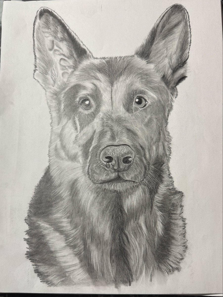Edwart_76's tweet photo. Pets drawing pencil. Edwartist21@gmail.com https://t.co/naFgmOb83g