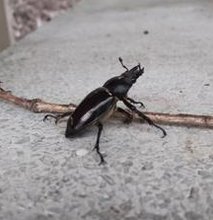 doublej487's tweet image. 読書を昼する 👩‍🎓