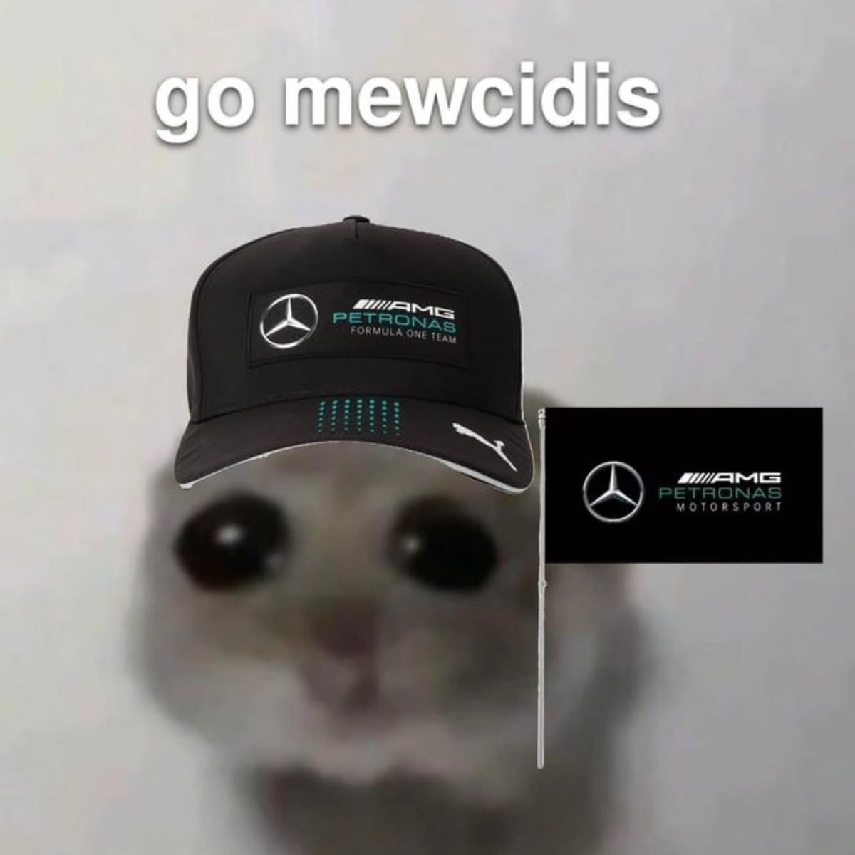 whatever happens I'll stay with my cancelled princess and his team