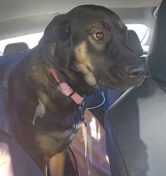 Mark Cherrington tweet media