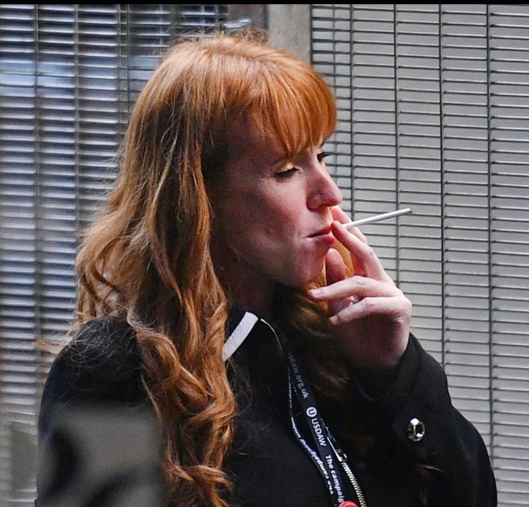 With Rayner we could have a Prime Minister who left school with more kids than GCSE's