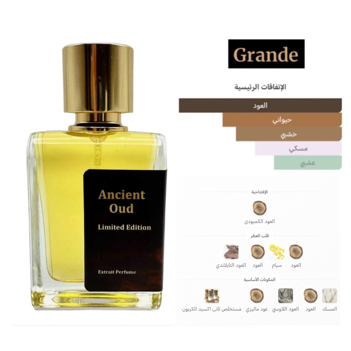 عطراء tweet media
