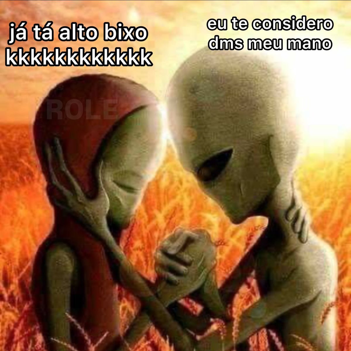 rolealeatorio's tweet photo. https://t.co/DYBRe6IX96