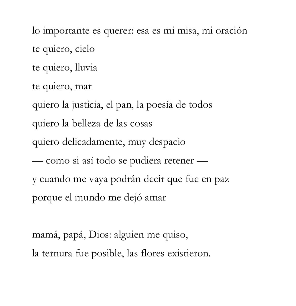 fenomenología de la ternura 💭🤍🕯️