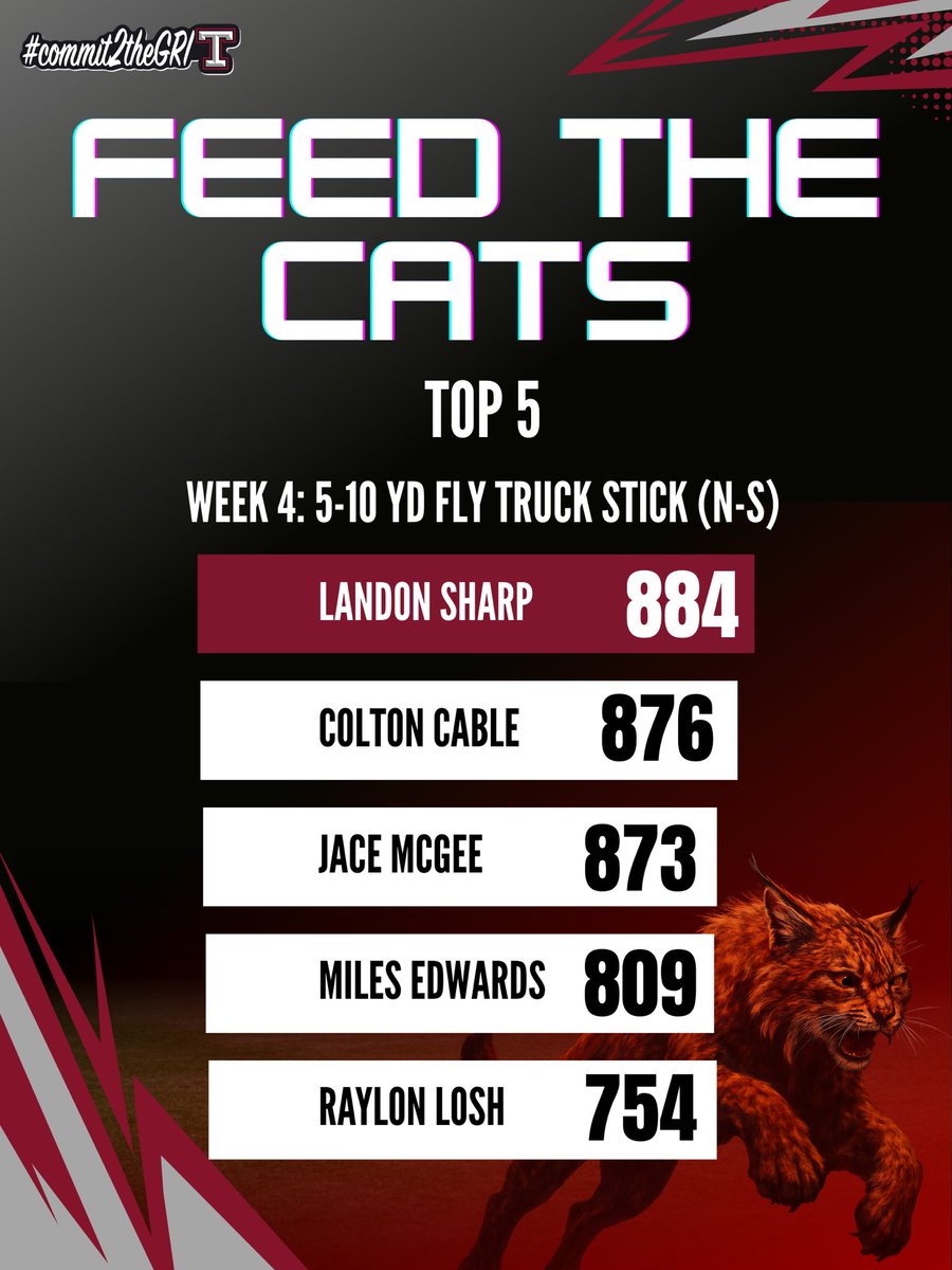 Feed the Cats⚡️ tweet media