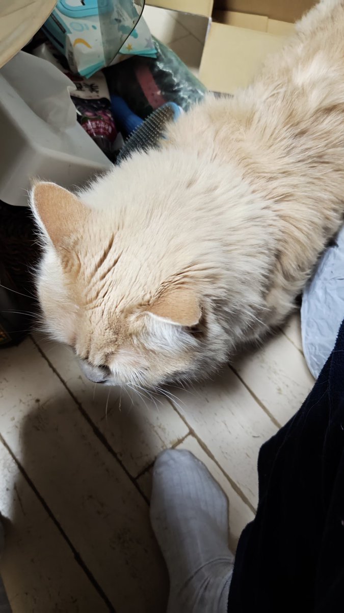 どうした?
なんかすごいついてくるやんか 