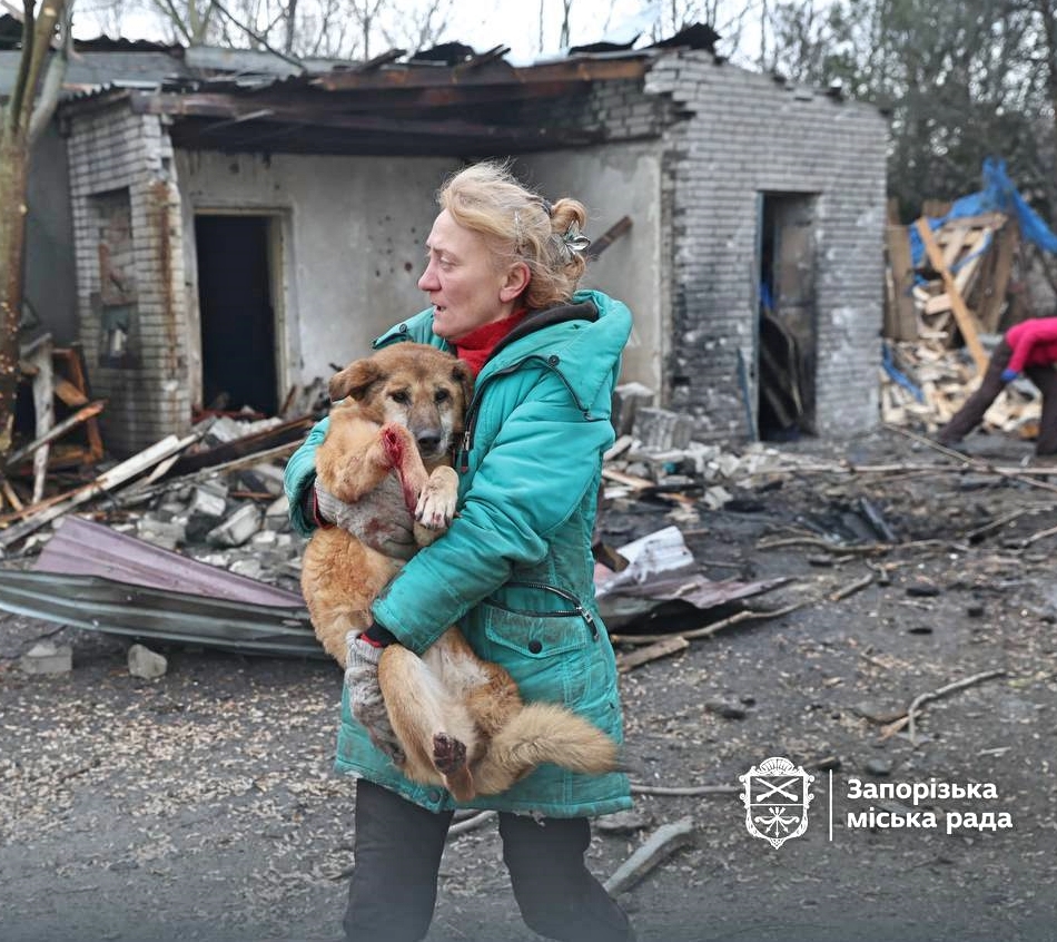 The Spirit of Lorenzo the Cat tweet media