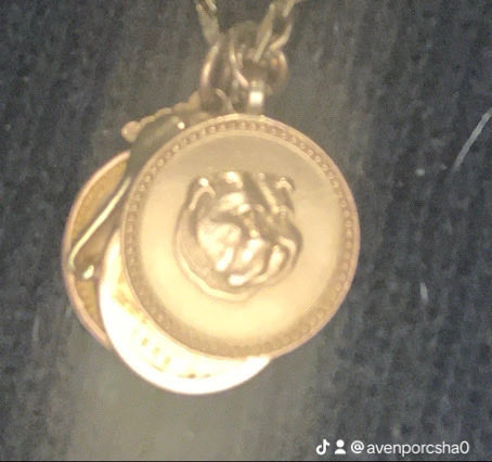 Collectibulldogs tweet media