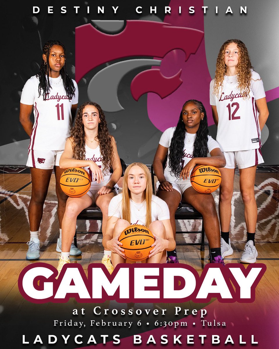 Destiny Christian Ladycats tweet media