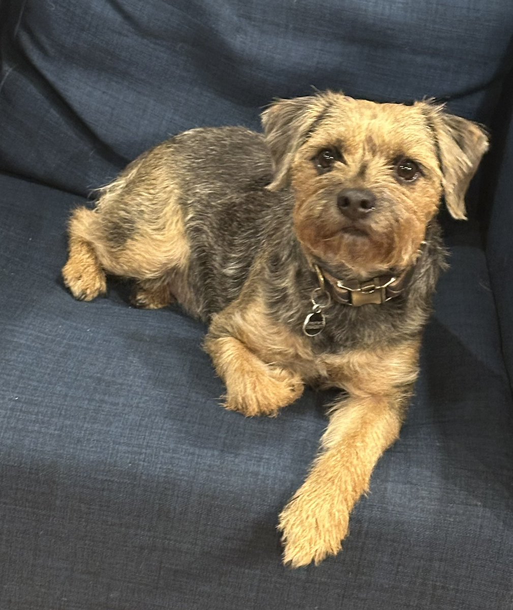 Miss Scraggy Agnes tweet media