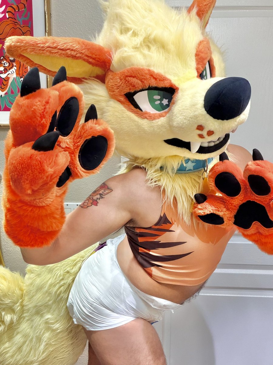 Forbidden Undies tweet media