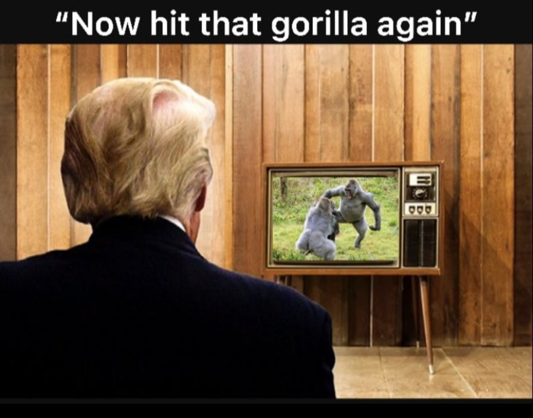 hazardfraught (@hazardfraught) on Twitter photo 