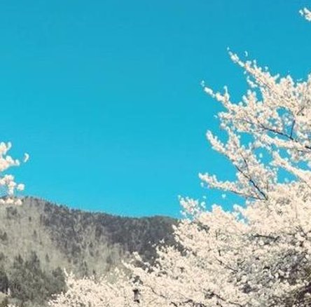 IIPercyII's tweet image. 寿司を注文する、豪華な！ 🤨