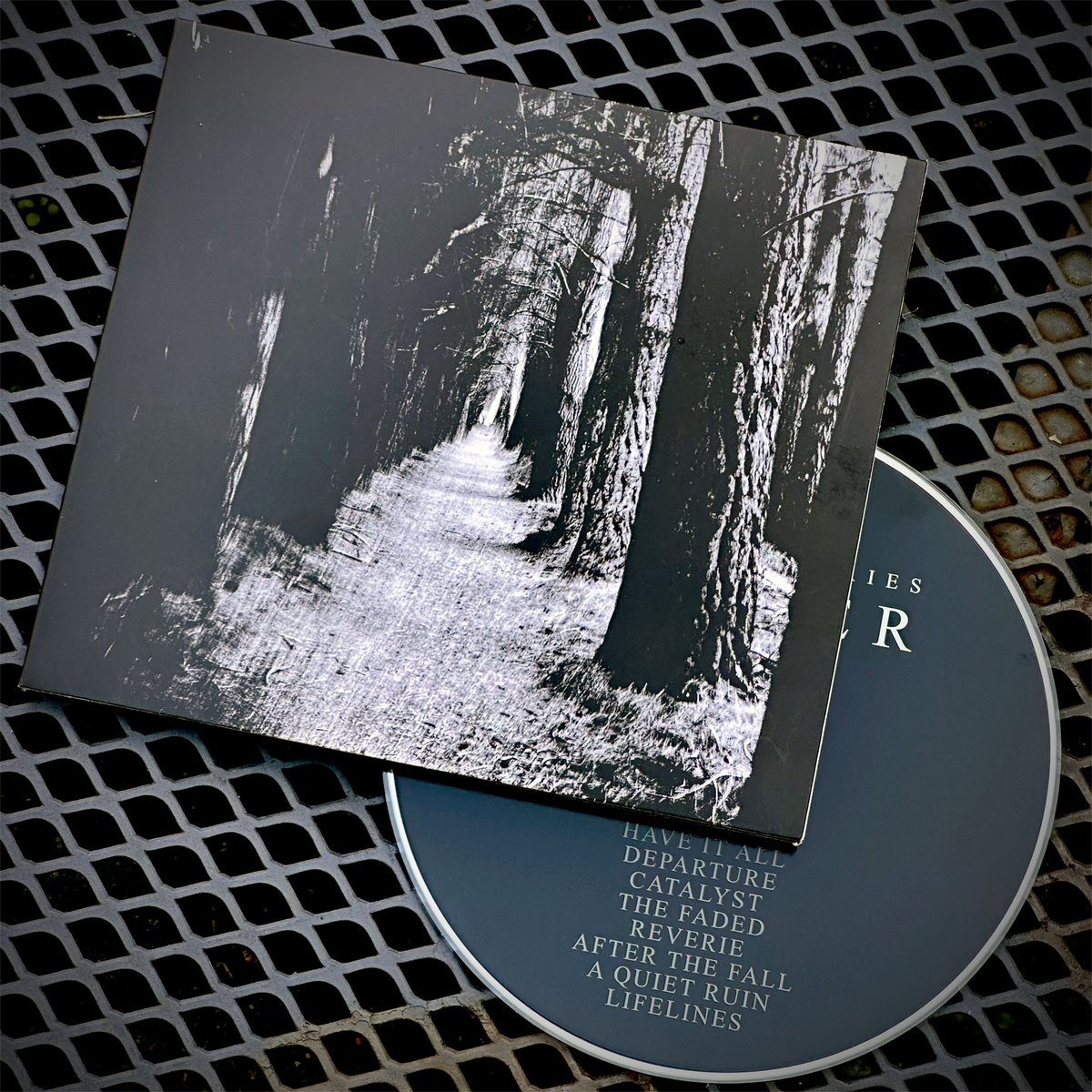 Stray Theories tweet media