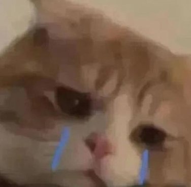 ALeeWait's tweet image. 動物 #美味しい 🐬