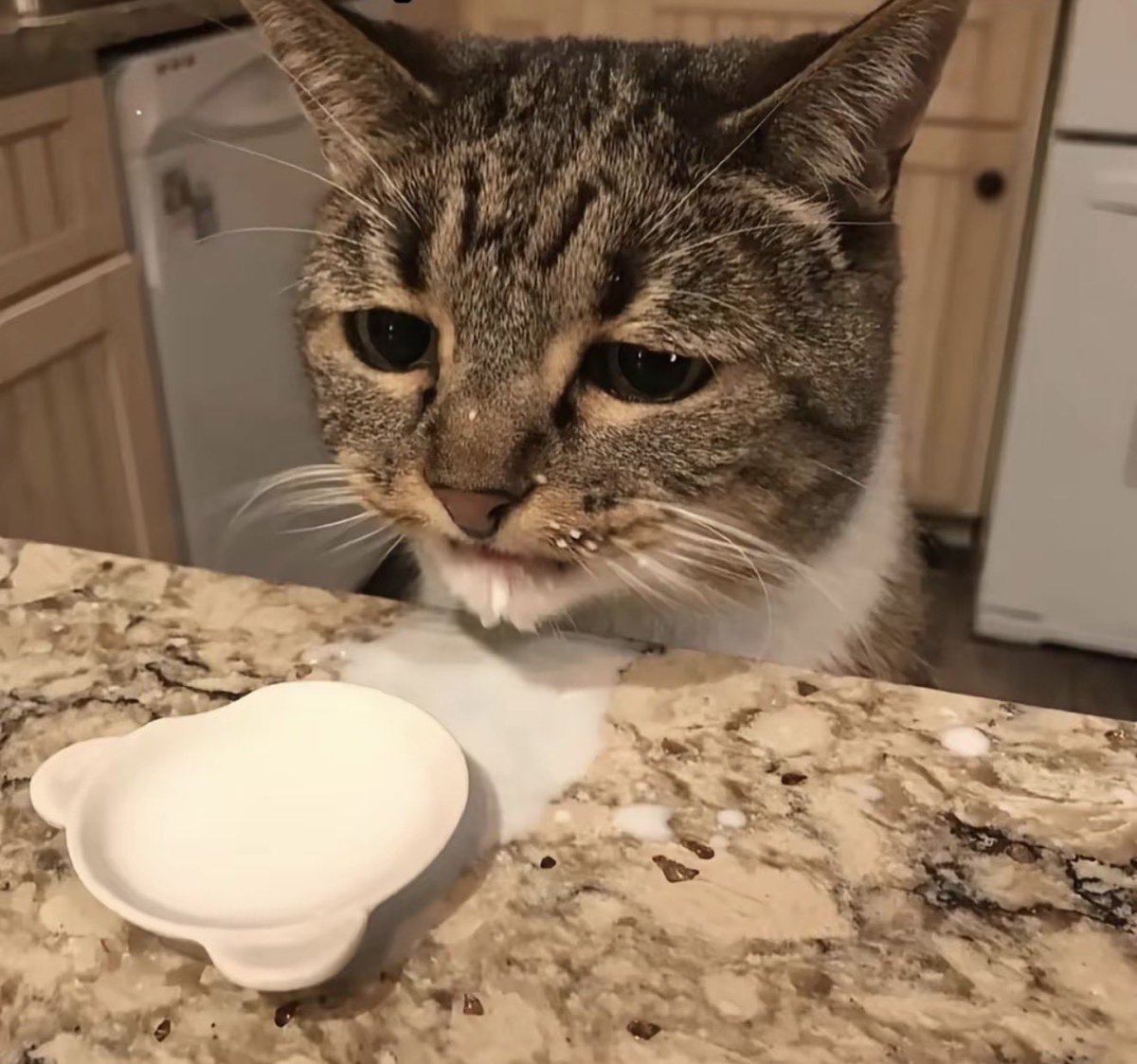 jungyoo-kok tweet media