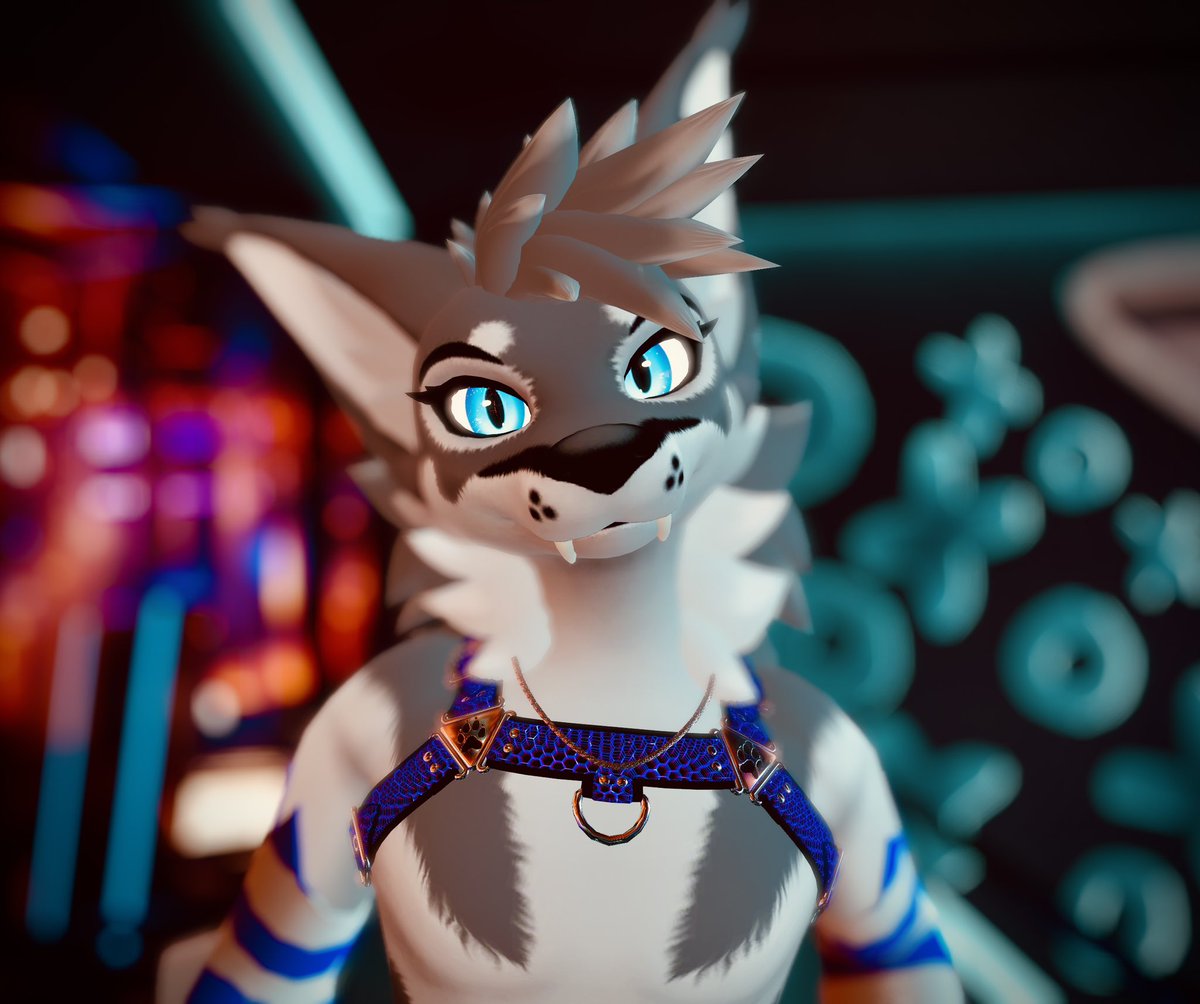 Let’s just get lost in each others eyes 

📸 <a href="/WolfieThunder/">Thunderwolfie</a>