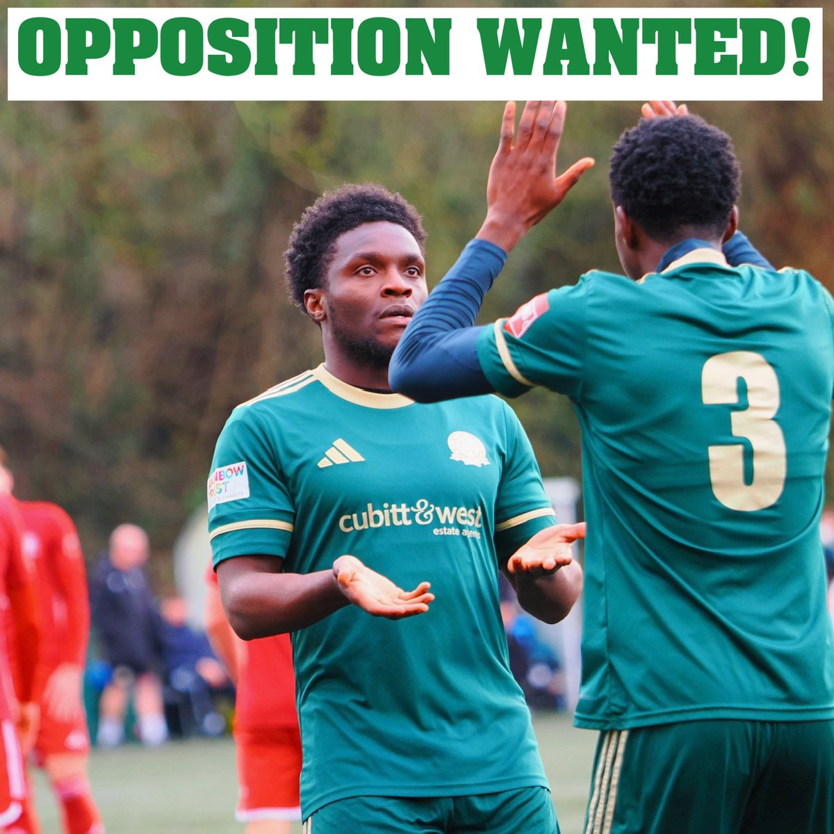 AFC Whyteleafe tweet media