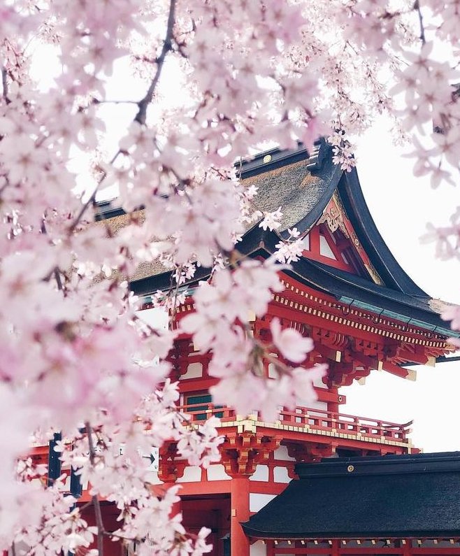 BOLbTiK's tweet image. 今日写真を挑戦する 👳