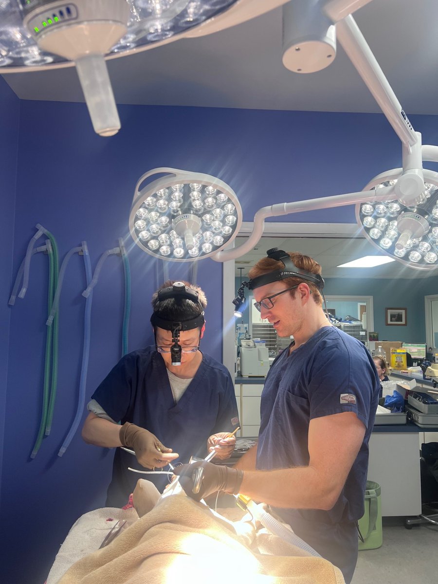 URMC Department of Surgery tweet media