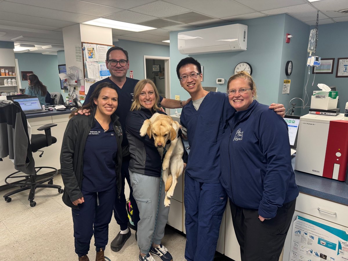 URMC Department of Surgery tweet media