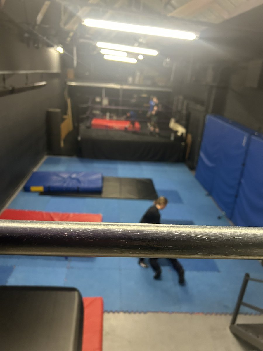 Shibruva 🎈🩷 COMMS OPEN! tweet media