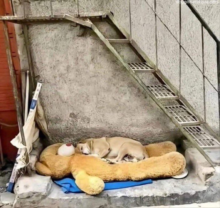 One person's trash may be another's treasure.