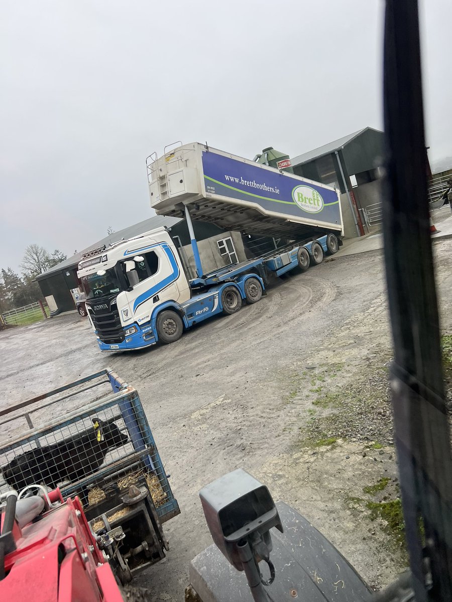 sprinkles785's tweet image. And we’re off again 💪🏻💪🏻
#Calving2026 #OAD