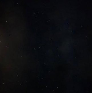 KeylithM's tweet image. 新鮮な丼を味わう 👩‍⚕️